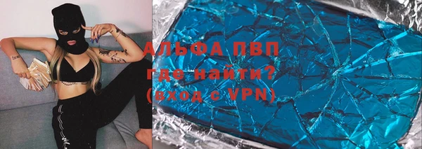 стафф Алзамай
