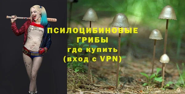 не бодяженный Абинск