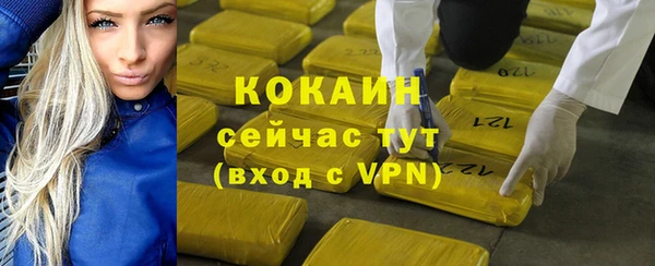 стафф Алзамай