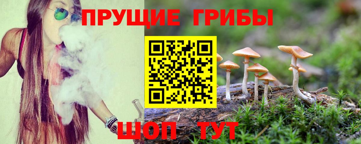 Галлюциногенные грибы Cubensis Грязи