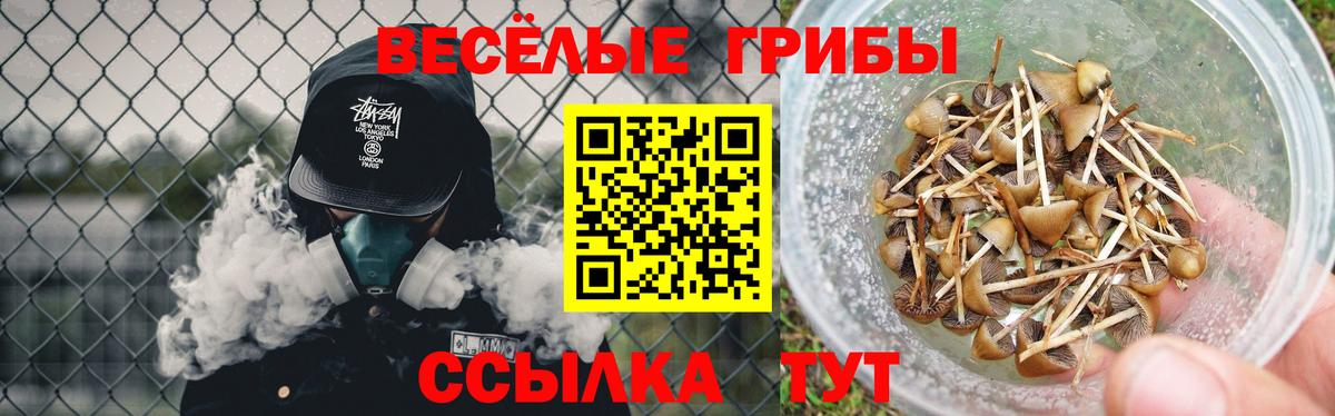Галлюциногенные грибы прущие грибы  Вход с VPN  Грязи 